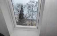 Busse_Fenster2