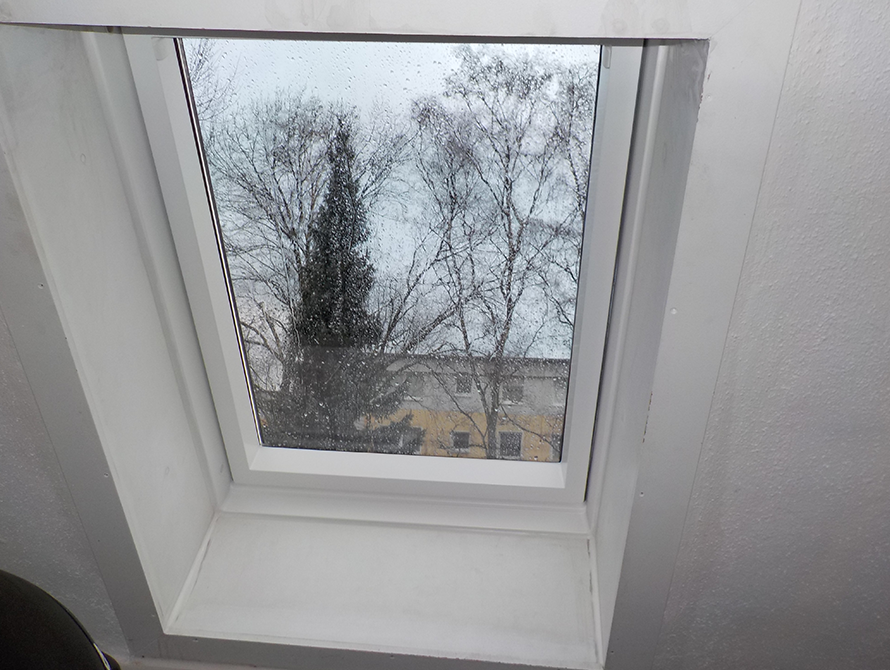 Busse_Fenster2
