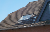 Busse_Fenster3