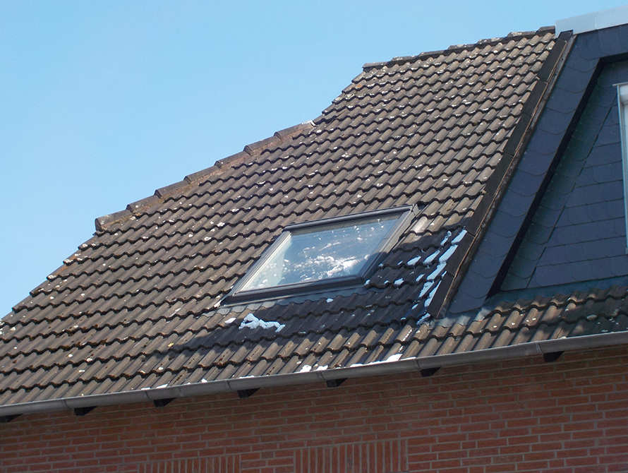 Busse_Fenster3