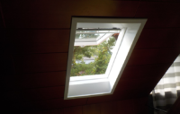 Busse_Fenster4