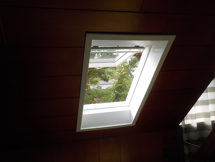 Busse_Fenster4